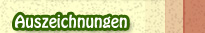 Auszeichnungen