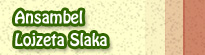 Ansambel Lojzeta Slaka